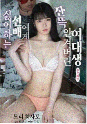 理论电影网片目图谱中关于纪录片真实性的读解卡配图